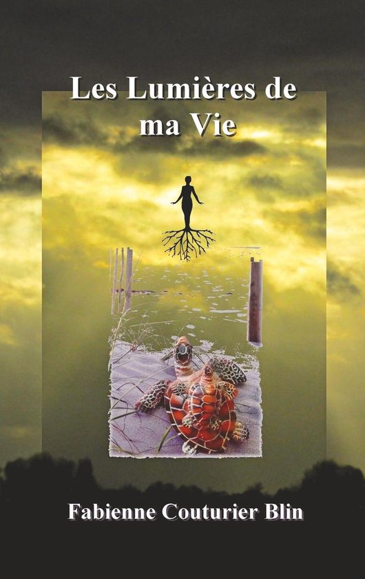 Les lumières de ma vie - cover