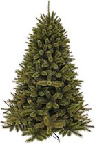 Triumph Tree - Kerstboom Forest Frosted H120D99 Groen  Tips 396