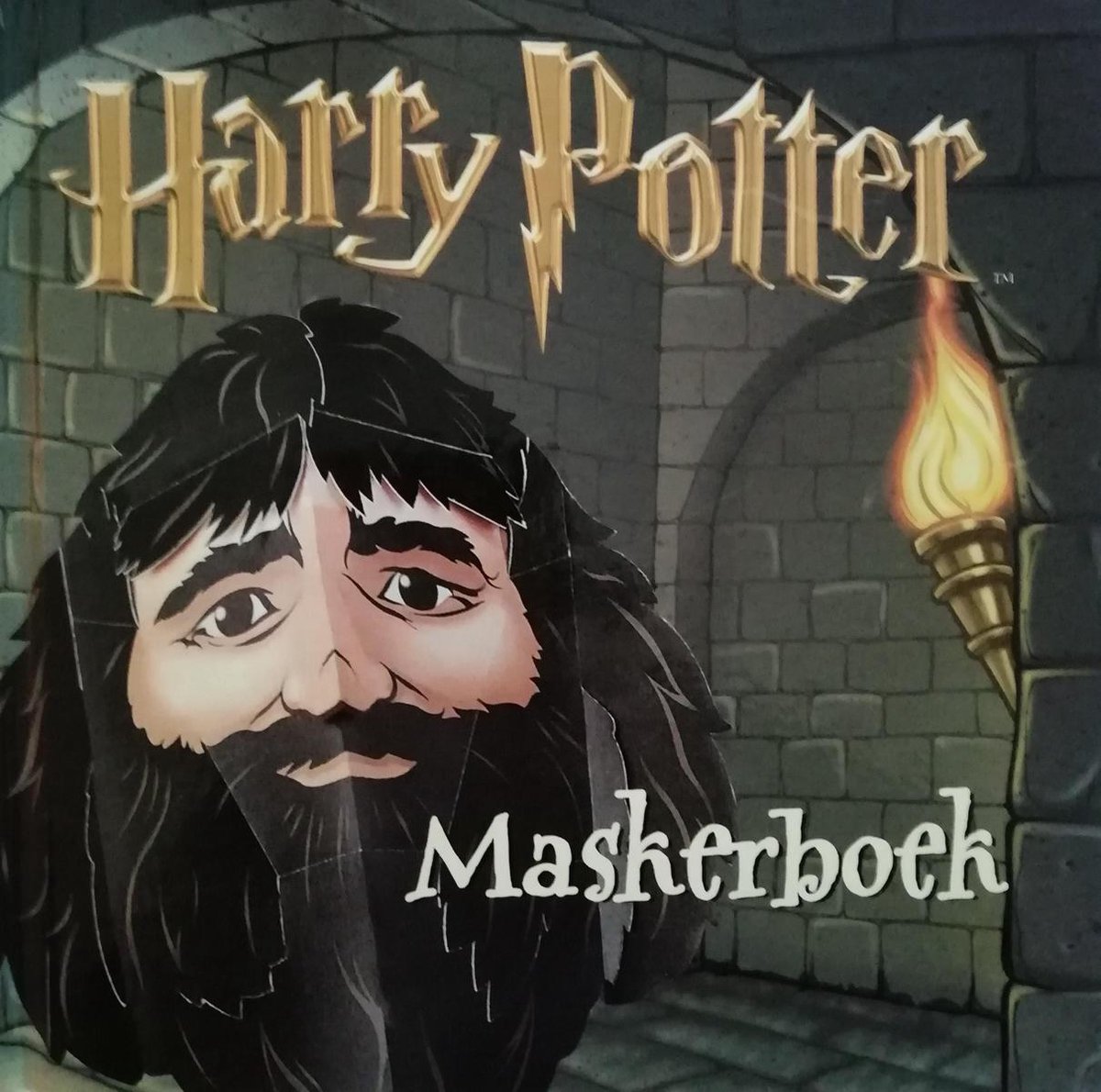 Harry Potter Maskerboek