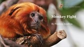 Animal Picture Books With Social & Emotional Learning 1 - Monkey Fight