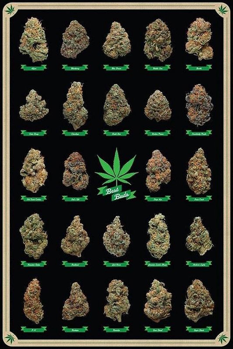 Canvas Schilderij * De beste Bloemtoppen Wiet Knoppen * - Cannabisposter-print - Kleur - 50 x 70 cm