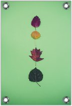 Tuinposter –Herfstblaadjes op Groene Achtergrond– 40x60cm Foto op Tuinposter (wanddecoratie voor buiten en binnen)