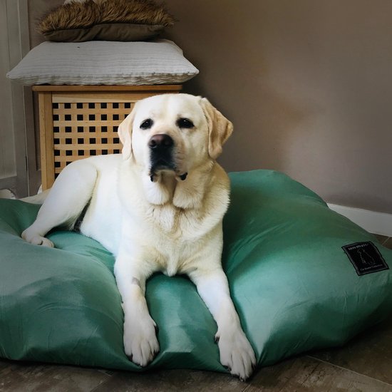 Mijn Bikkel The Home Collection – The Original – Honden hoeslaken – ‘The Jersey’ Olijf Groen voor hondenkussen – Small – 50 x 70 cm