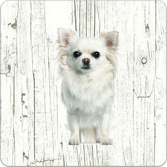 Cardigan Welsh Corgi pour chien | Sous-verres en bois 6 pièces