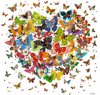 Coeur de papillon 30x30cm
