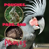 What Animals Wear - Pouches, Pads, and Plumes