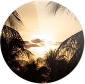 Palmbomen Zonsondergang | Wanddecoratie | 100CM x 100CM | Schilderij | Foto op plexiglas | natuur | Landschappen