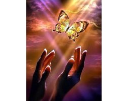 foto van Lienz® Diamond Painting volwassenen 40x50cm – Rond – Vlinder uit Hand – Pakket Volwassenen