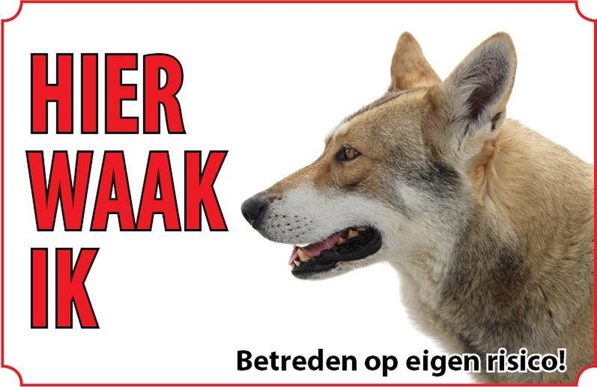 Bord Hond Saarlooswolfhond