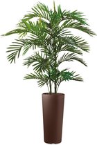 HTT - Kunstplant Areca palm in Clou rond bruin H185 cm
