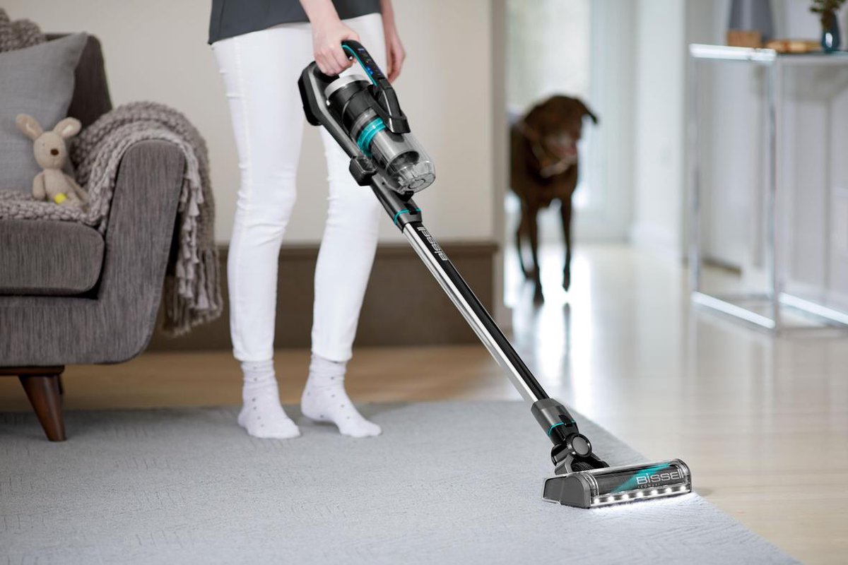BISSELL 2602D Icon Pet - 2-in-1 