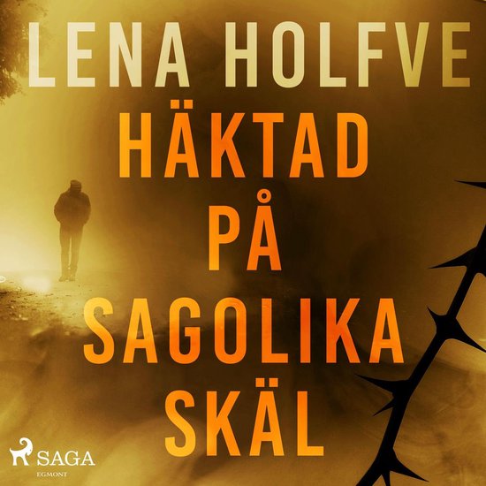 Häktad på sagolika skäl - cover