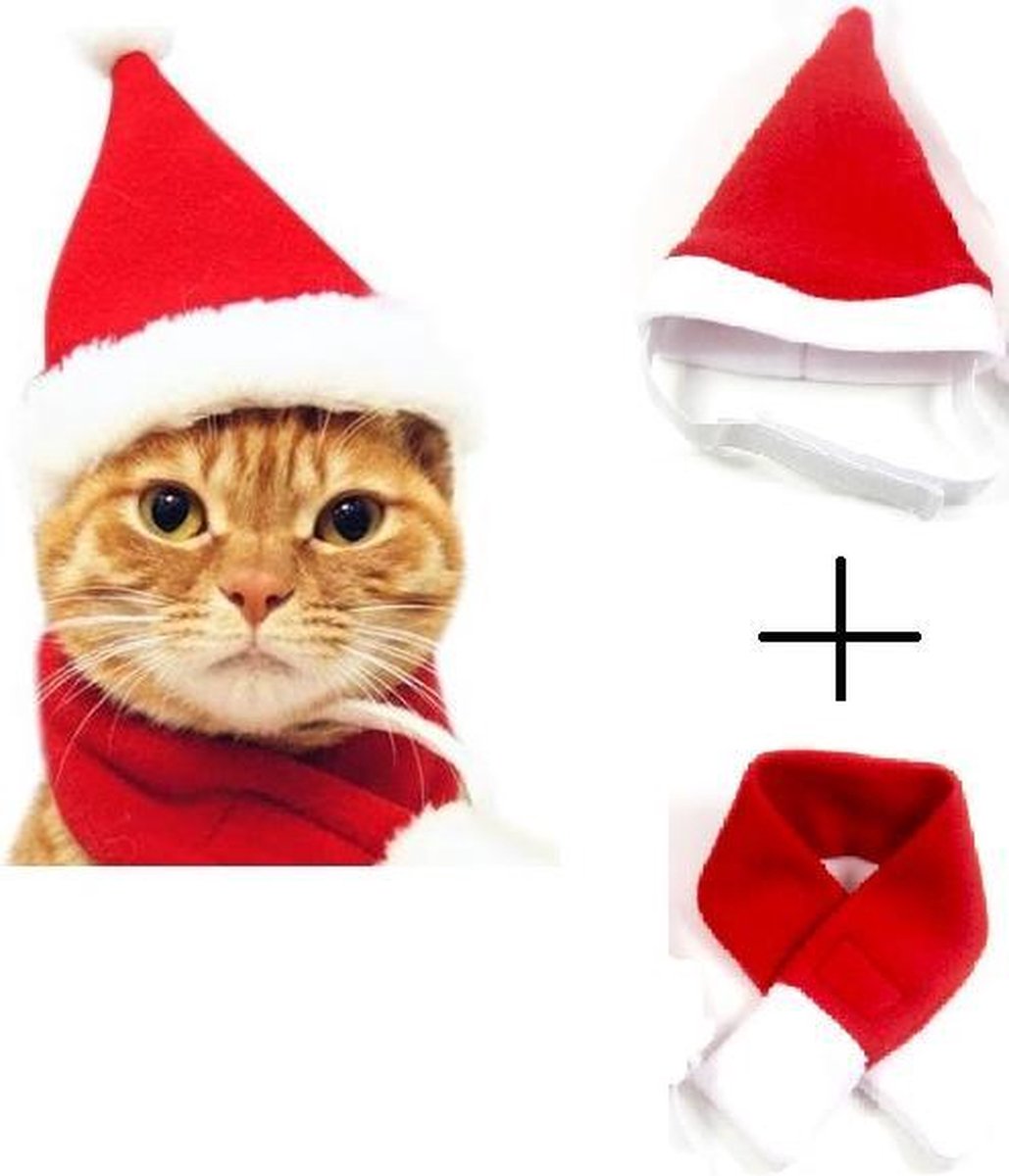Kerstmuts en -sjawl kat - kerstmis verkleding kat / poes - kerst outfit  dier - kat /... | bol.com