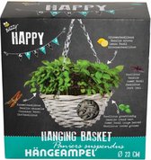 Buzzy® Happy Garden, Hanging Basket Basilicum gemengd