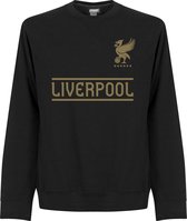 Liverpool Team Sweater - Zwart - XXL