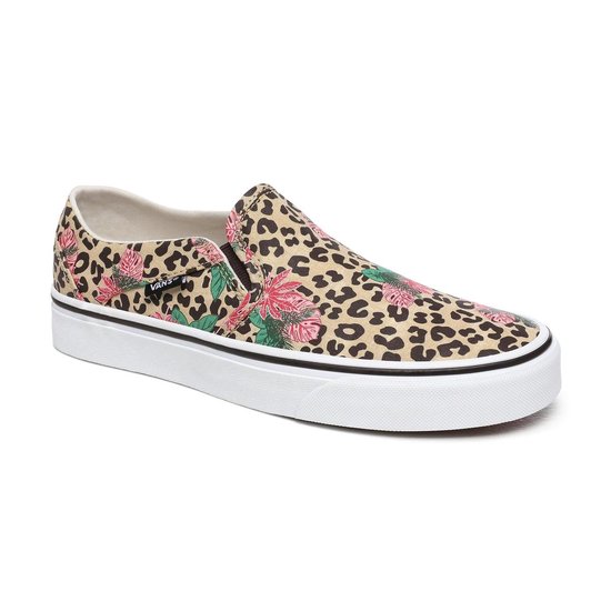 cheetah asher vans