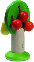 Walter Houten Rammelaar Fruitboom 10 Cm Multicolor