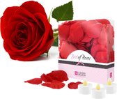 LoversPremium Bed of Roses - Rood -
