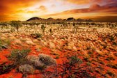 Dimex Australian Landscape Vlies Fotobehang 375x250cm 5-banen