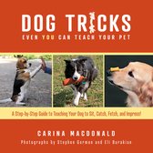 Dog Tricks Even You Can Teach Your Pet- Dog Tricks Even You Can Teach Your Pet