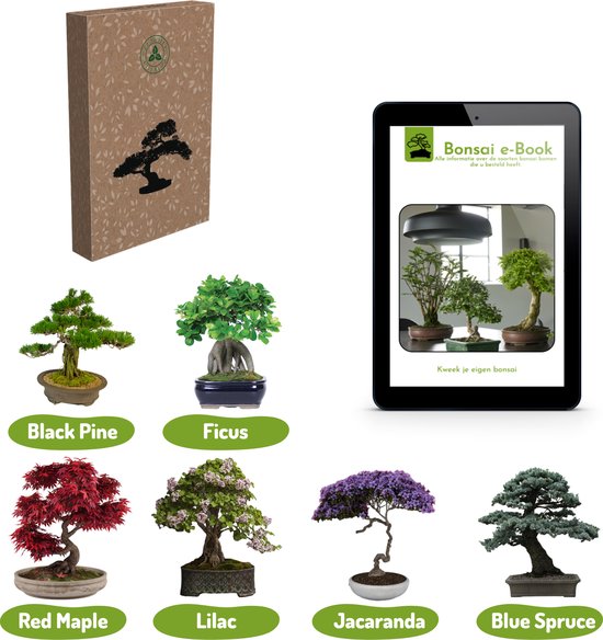 Bonsai zaden 6 soorten Incl. e-Book - Boompje in Pot - Kamerplanten - Kweekset – Cadeau Man & Vrouw - Geschenkset