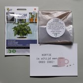 Koffie -plant-aarde-zaden-brievenbus cadeau- collega -