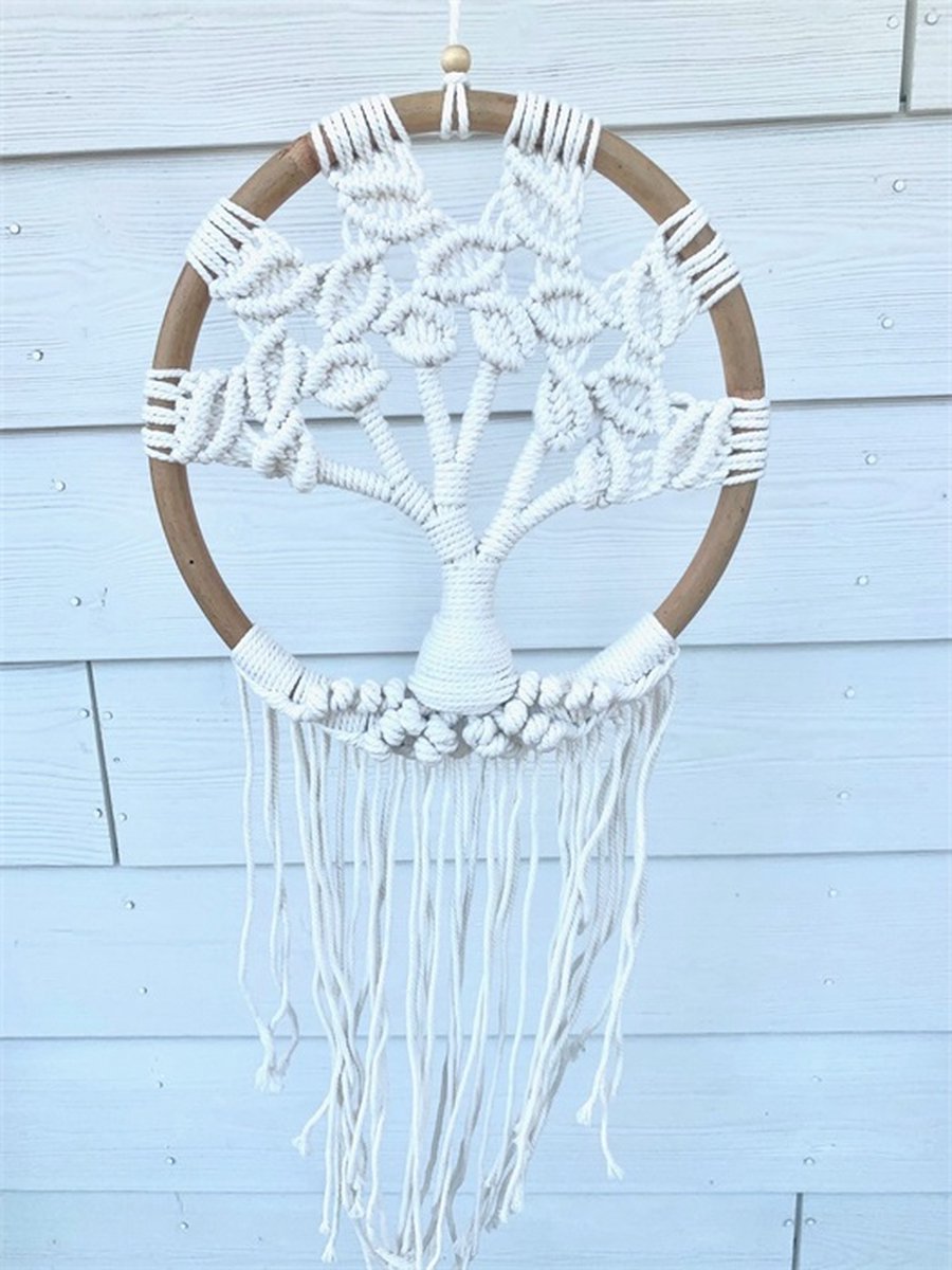 Dromenvanger Patricia levensboom diameter 27 cm
