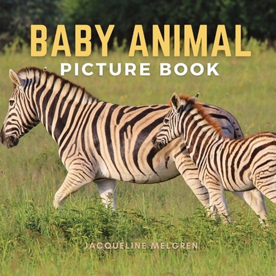 Baby Animal Picture Book - cover