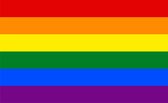 Regenboogvlag Sticker (10 Stuks in zakje) - LGBT - Gay Pride - Rechthoek 104 x 74 mm - 6 Kleuren - A7 formaat - Voor binnen en buiten - Glanzend waterbestendig 90 grams PVC - Lapto