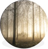 WallCircle - Wandcirkel - Muurcirkel - Bos - Zon - Mist - Aluminium - Dibond - ⌀ 140 cm - Binnen en Buiten