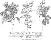 Cling Stamps Flower Shop (CMS401)