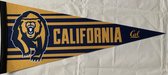 California - Cali Bear - NCAA - Vaantje - American Football - Sportvaantje - Wimpel - Vlag - Pennant - Universiteit - Ivy League amerika - 31 x 72 cm