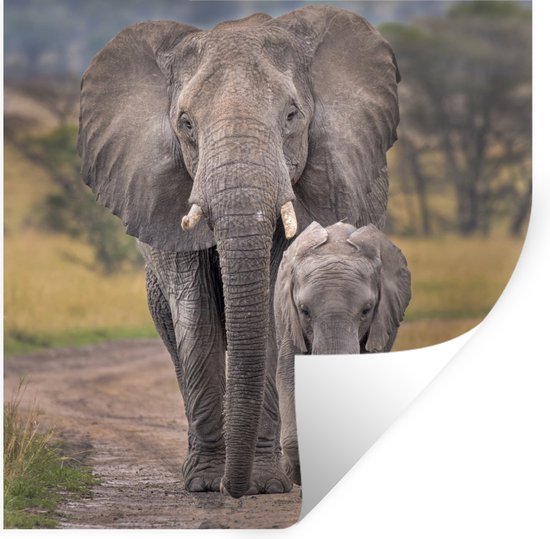 Foto: Muurstickers sticker folie olifanten moeder en kalf op een weg in de ngorongoro krater 120x120 cm plakfolie muurstickers kinderkamer zelfklevend behang xxl zelfklevend behangpapier stickerfolie