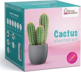 Cactus kweekset | Kweekkit cactussen