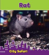 Rat