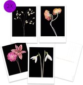 Ansichtkaarten - Black Editions - bloemen - blanco - kleurrijke bloemen - kunstkaart - wallart - alle gelegenheden - fotografie bloem - wenskaart