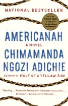 Boekomslag van Americanah, een roman van Chimamanda Ngozi Adichie. Tekst: 'NATIONAL BESTSELLER', 'One of the TEN BEST BOOKS OF THE YEAR'.