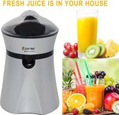 Household Fruit Juicer Liquidizer Durable Juice Bottle Stainless Steel Kitchen