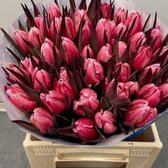 Verse Tulpen -  Red - 50 stuks