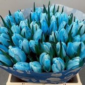 Verse Tulpen -  Light Blue - 50 stuks