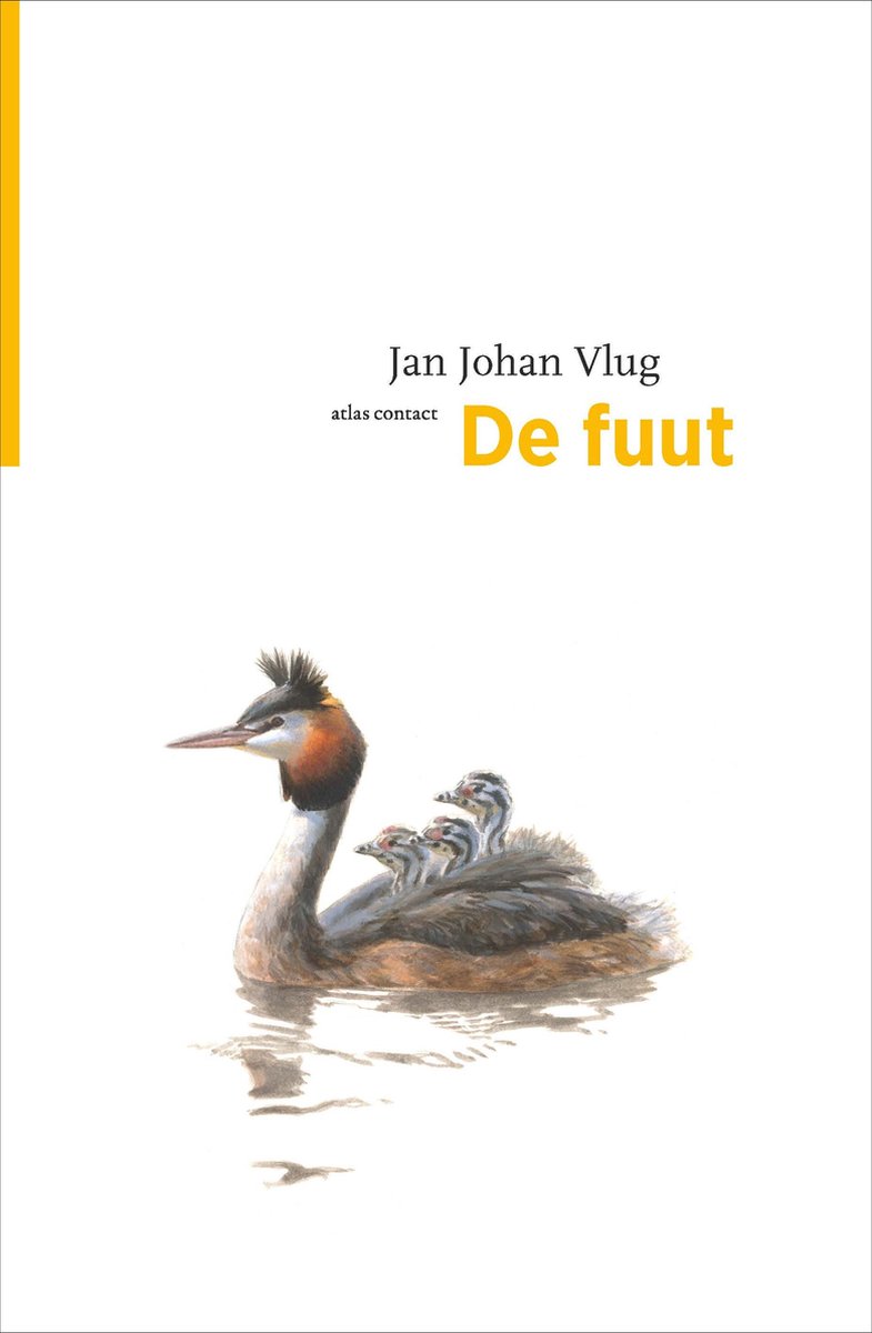 De Vogelserie 20 -   De fuut - Jan Johan Vlug