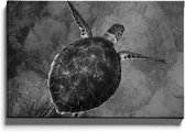 Walljar - Zeeschildpad - Muurdecoratie - Canvas schilderij