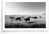 Walljar - Koeien In Het Gras - Dieren poster