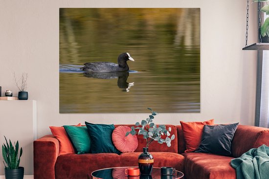 Tableau sur toile Foulque dans l'eau - 160x120 cm - Décoration murale XXL