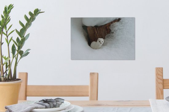 Tableau sur toile Belette Witte dans la neige - 30x20 cm - Décoration murale