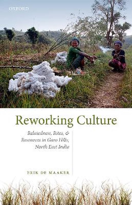 Reworking Culture | 9788194831693 | Erik de Maaker | Boeken | bol.com