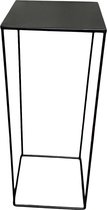 Plantentafel, metaal, kleur zwart, hoog 55 cm