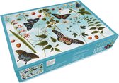 Bekking & Blitz - Puzzel - 1.000 stukjes - Kunst - Vlinders en Bloemen - Collage - Botanisch - Joseph Jacob von Plenck - The Fitzwilliam Museum Cambridge