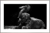 JUNIQE - Poster met kunststof lijst Frolicking Elephant -30x45 /Zwart