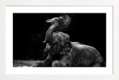 JUNIQE - Poster met houten lijst Frolicking Elephant -13x18 /Zwart